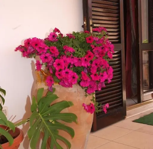 Sigismondo Castromediano 2* לצ'ה