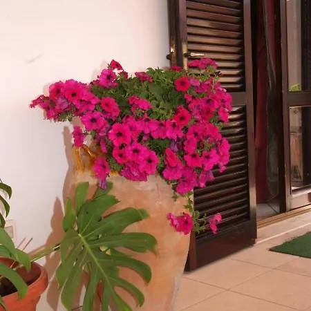 Sigismondo Castromediano 2* Λέτσε